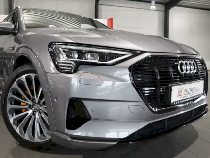 Audi e-tron  59077 Hamm - autoregio.de