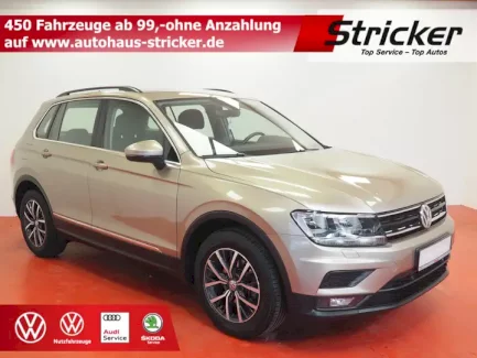Volkswagen Tiguan  32805 Horn-Bad Meinberg - autoregio.de