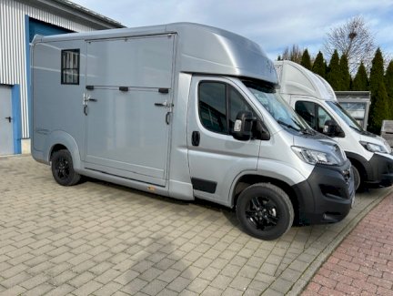 Opel Movano Pferdetransporter Stephex Hengstausstattung 3500KM